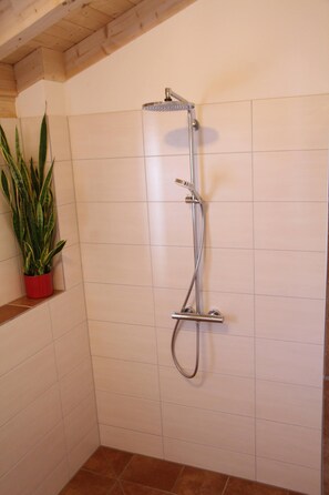 Dusche, Handtücher, Toilettenpapier
