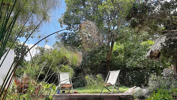 A serene garden with a small pond, lush greenery, and two lounge chairs facing the water. - Pousada Paralelo 14 (Alto Paraíso de Goiás)
