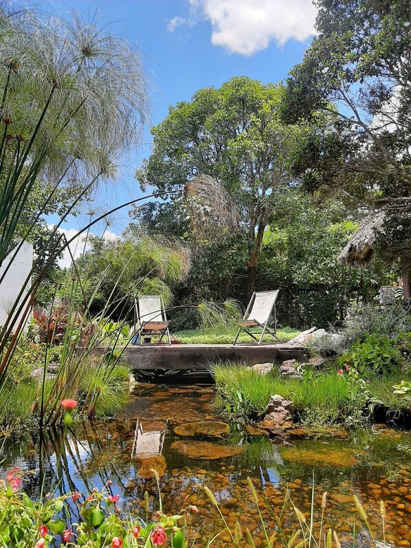 Garden - Pousada Paralelo 14 (Alto Paraíso de Goiás)