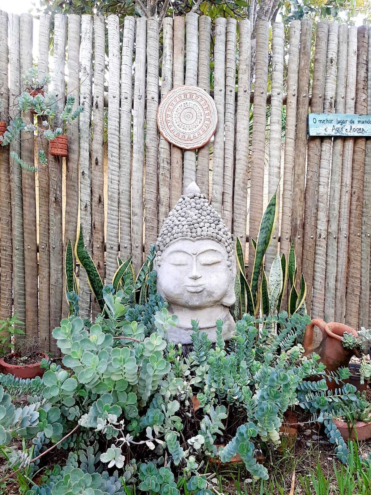 Un jardín con una estatua de Buda rodeada de plantas diversas.
