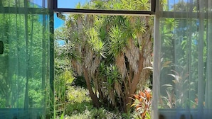 A doorway leading to a garden with various plants and a clear sky. - Pousada Paralelo 14 (Alto Paraíso de Goiás)