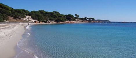 Chaises longues, serviettes de plage