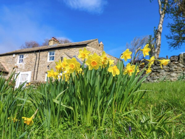 Cottage | Interni