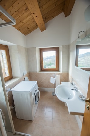 Shower, hair dryer, bidet, towels