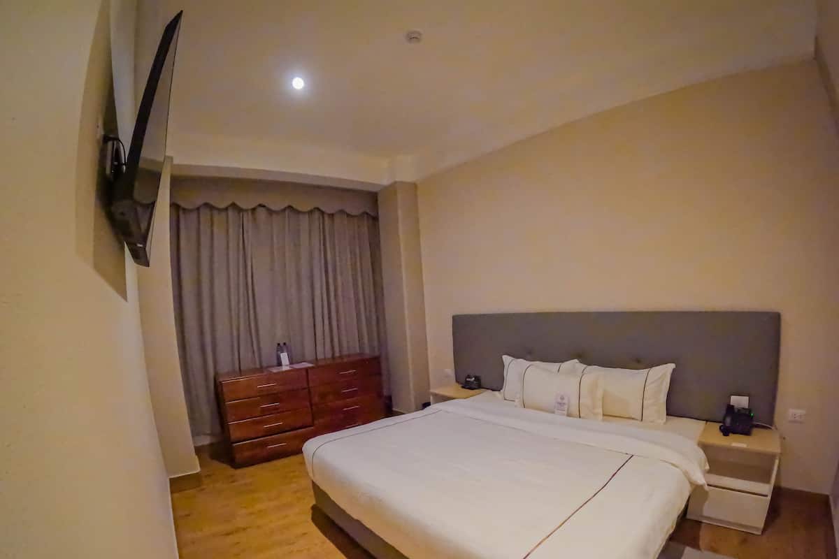 Une chambre d’hôtel avec un grand lit, un plancher en bois, une commode, un téléviseur fixé au mur et un rideau.