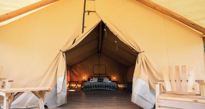 Glamping tent Village
