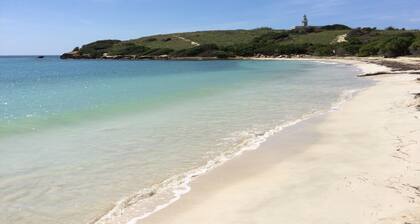 Explore the best of Cabo Rojo’s coastal beauty and local attractions.