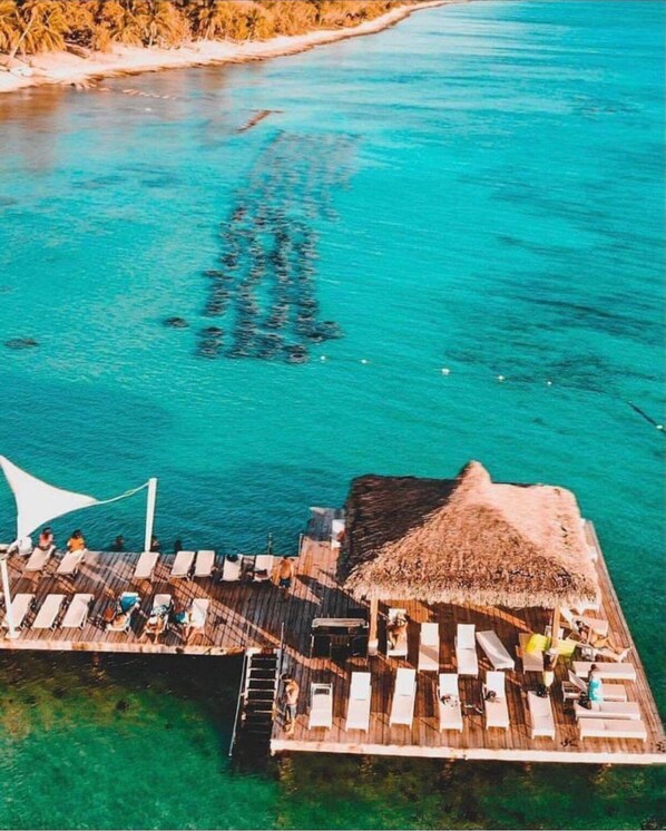 Beach - Hermoso Apartamento Vacacional en el Caribe (Dominicus)