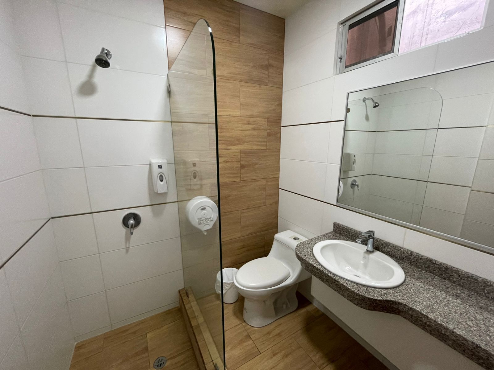 A bathroom with a glass-enclosed shower, a toilet, a sink, and a mirror.