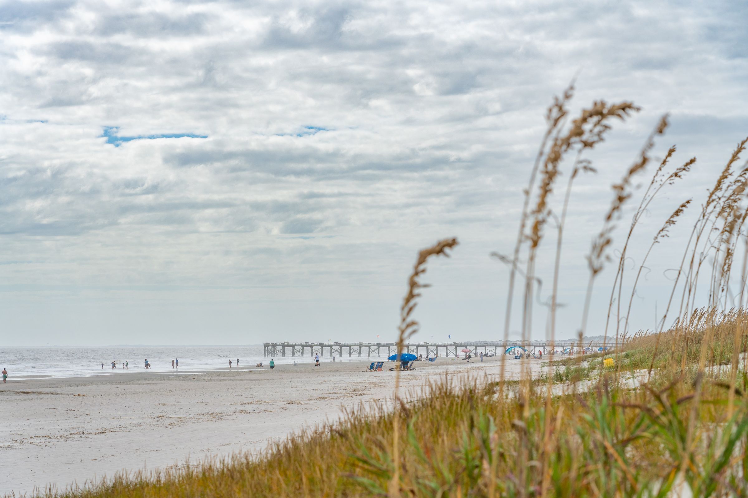 A beach with a pier extending into the water, people walking along the shore, and tall grasses in the foreground.