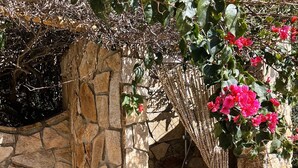 A stone structure with a beaded curtain and pink flowers.