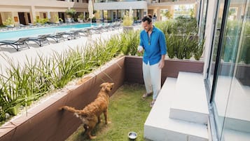 Junior suite, terras, uitzicht op zwembad | Terras