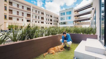 Suite Junior, terrazzo, vista piscina | Vista mare