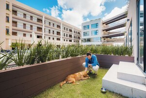 A multi-story building with balconies, a grassy area, and a person interacting with a dog.