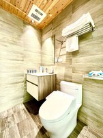 Baño | Ducha, cabezal de ducha con hidromasaje, secador de pelo y zapatillas