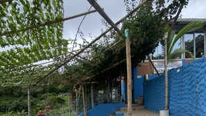 Exterior - EL MIRADOR DEL EDÉN (Viotá)