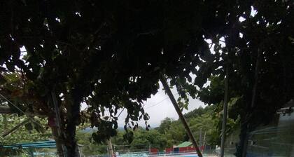 EL MIRADOR DEL EDÉN
