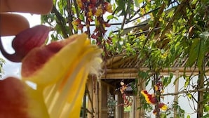 Front of property - EL MIRADOR DEL EDÉN (Viotá)