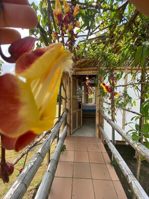 Front of property - EL MIRADOR DEL EDÉN (Viotá)