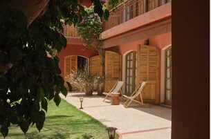 Un patio con piscina, sillas de descanso y una planta en maceta.