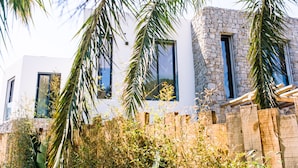 Front of property - Villa Alemagou (La Croix-Valmer)