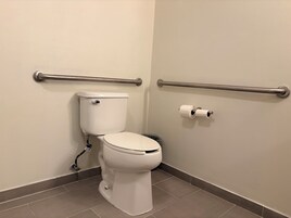A standard bathroom with a toilet, grab bars, and a toilet paper holder.