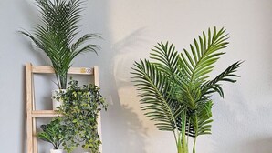 A wooden plant stand with a woven basket holding a palm plant, and a wooden shelf with various potted plants. - Pinellas Perch: 3/2 central home, 10 mins to DTSP (Pinellas Park)