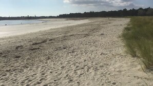 En sandstrand med fotspår, en klar himmel och en avlägsen kustlinje med träd.