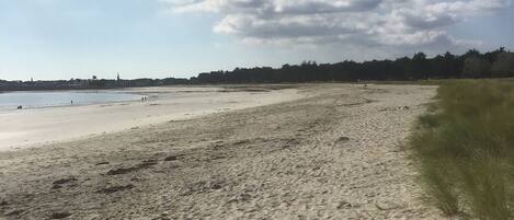 A sandy beach with footprints, a clear sky, and a distant shoreline with trees.