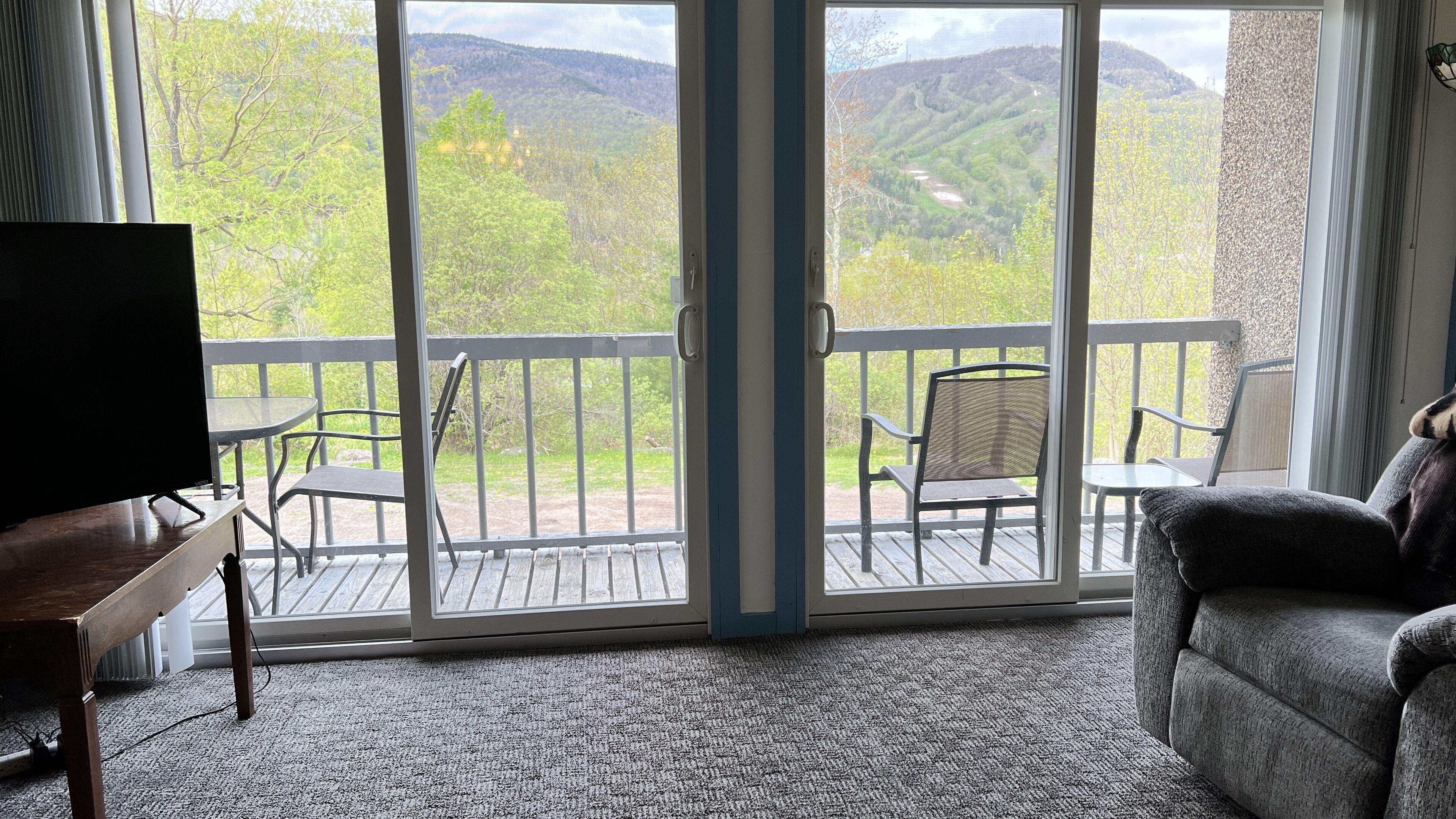 Une pièce dotée d’une grande porte-fenêtre coulissante qui donne sur un balcon offrant une vue sur une colline boisée. On y trouve un téléviseur posé sur un meuble, un fauteuil et un canapé.