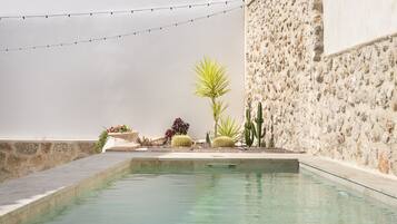 A swimming pool with a stone wall and plants.