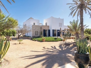 A modern house with a stone facade, a well-maintained garden with various plants, and a clear blue sky.
