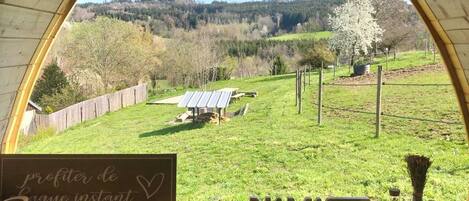 1 habitación y wifi