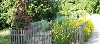 Einliegerwohnung 21/2 Zimmer, Separater Eingang , Ruhiger Lage