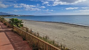 Une plage avec une promenade en bois et des palmiers.