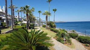 Un hôtel en bord de mer, agrémenté de palmiers, avec un sentier menant à la plage et une vue dégagée sur la mer.