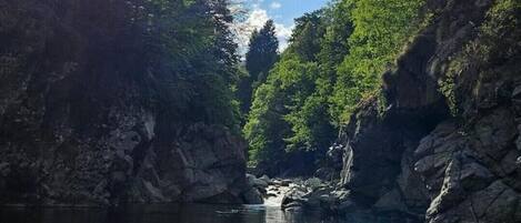 A serene river with rocky banks and dense greenery, under a partly cloudy sky.