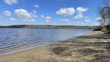 A sandy beach with a calm lake, trees, and a clear sky.