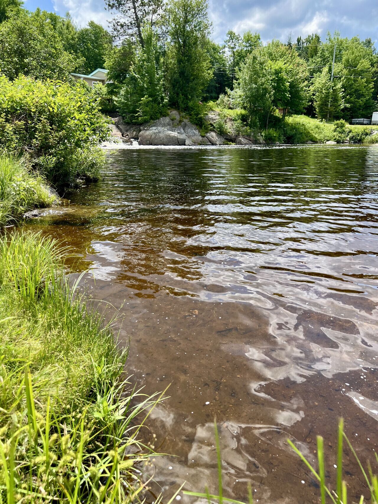 A river with clear water, surrounded by lush greenery and trees.
