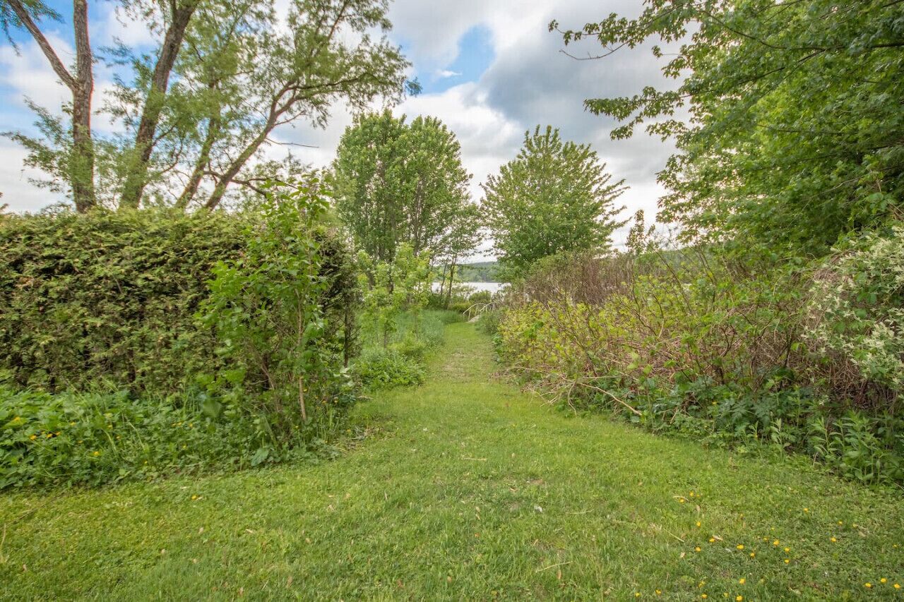 A narrow, grassy path flanked by dense foliage and trees, leading towards a distant body of water.