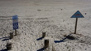 A beach with signs indicating regulations and a beach watch.