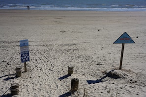 Beach - Staycasion @ Galveston. 6 minutes to Seawall. (Galveston)