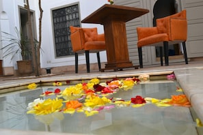 Terraza o patio