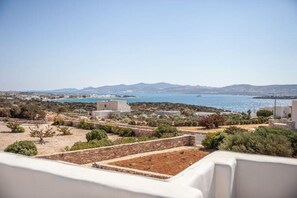 Property grounds - Seaside Grand Villa, walk to a hidden local Beach (Paros)
