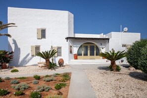 Exterior - Seaside Grand Villa, walk to a hidden local Beach (Paros)
