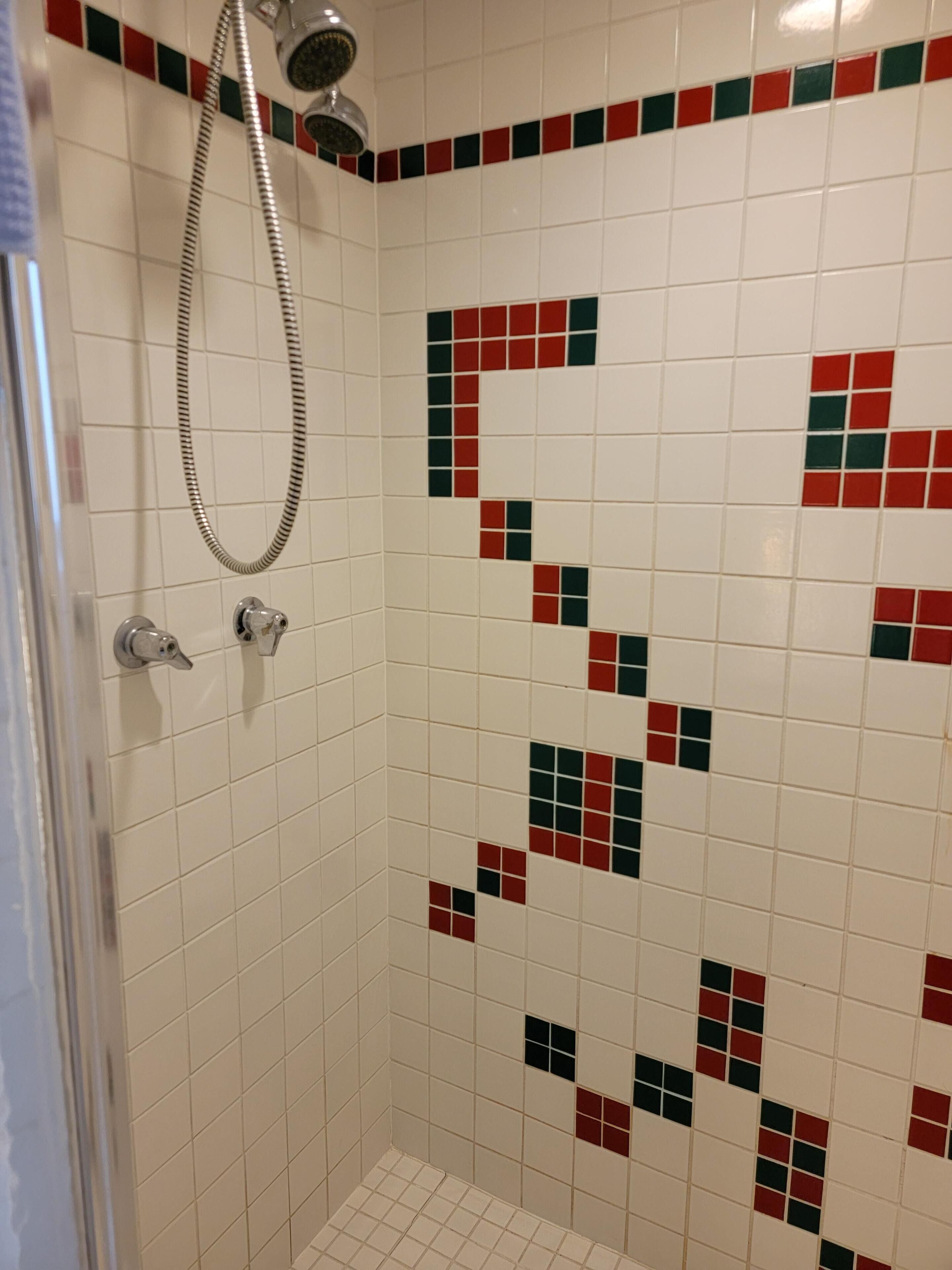 A shower with a tiled wall featuring a red and green mosaic pattern.