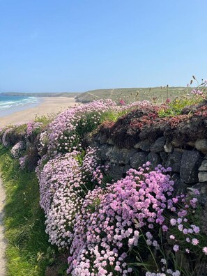 Playa en los alrededores