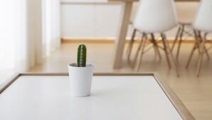 Une pièce au décor minimaliste, avec une table blanche, une petite plante en pot et un coin repas moderne, comprenant des chaises blanches et une table en bois.