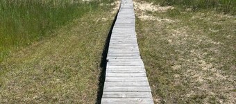 The Blue Elk - Lake Huron Views & Beach Access