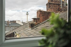 Vista desde la propiedad
